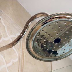 close up of a new showerhead